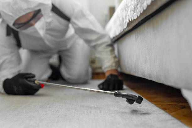Professional Mosquito Control technician working in Wright, FL
