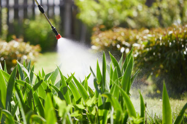 24/7 Emergency Mosquito Control experts in Wright, FL
